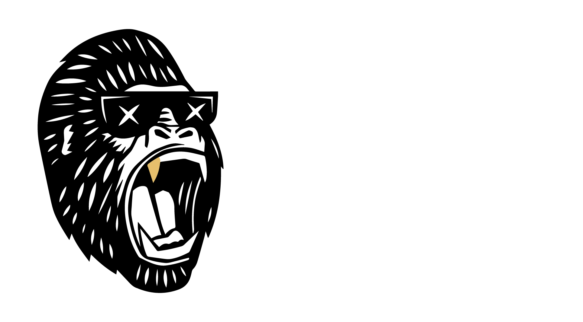 blog-3 – Bot King Kong